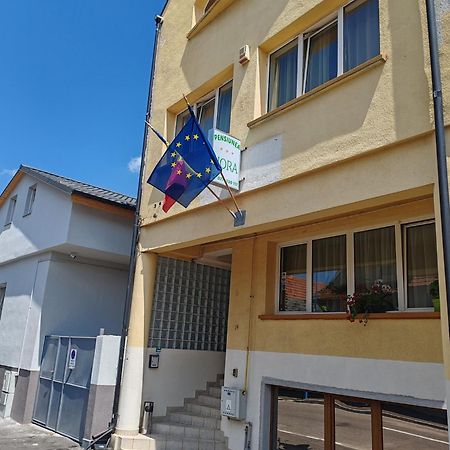 Hotel Pensiunea Hora Braşov Exterior foto